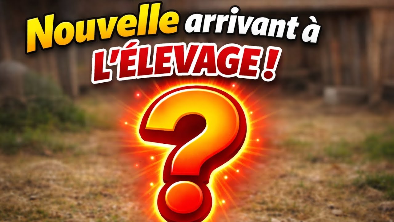 Nouvelle arrivant à l'élevage & tour des oies 🥰😍