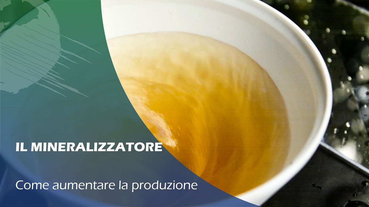 MINERALIZZAZIONE SOSTANZA ORGANICA in ACQUAPONICA