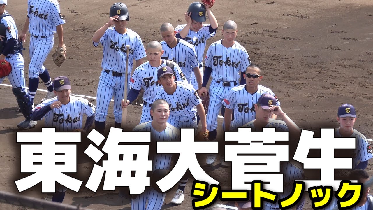 2年連続関東大会へ！　東海大相模東海大菅生　試合前シートノック　【高校野球 春季東京大会 決勝 東海大菅生 vs 東亜学園】 2025.5.4 野球 プロ野球