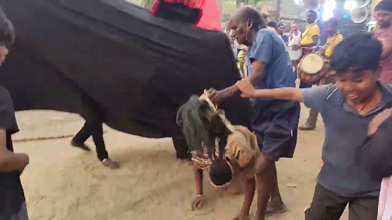 Sandha Nacha ( kalyanpur Belpal Melana )