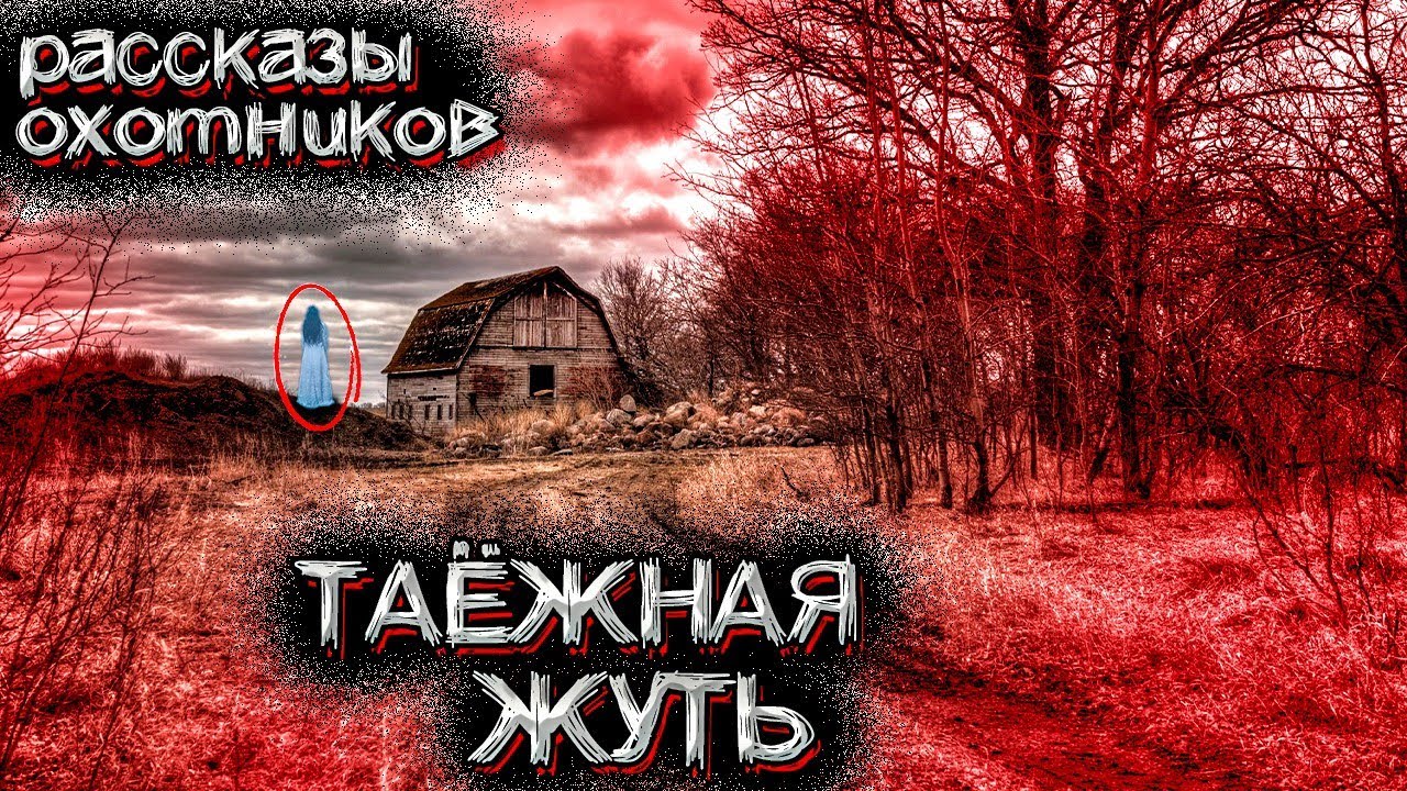 Таинственные Случаи в ТАЙГЕ. Рассказы охотников | Мистические Страшные Истории на ночь