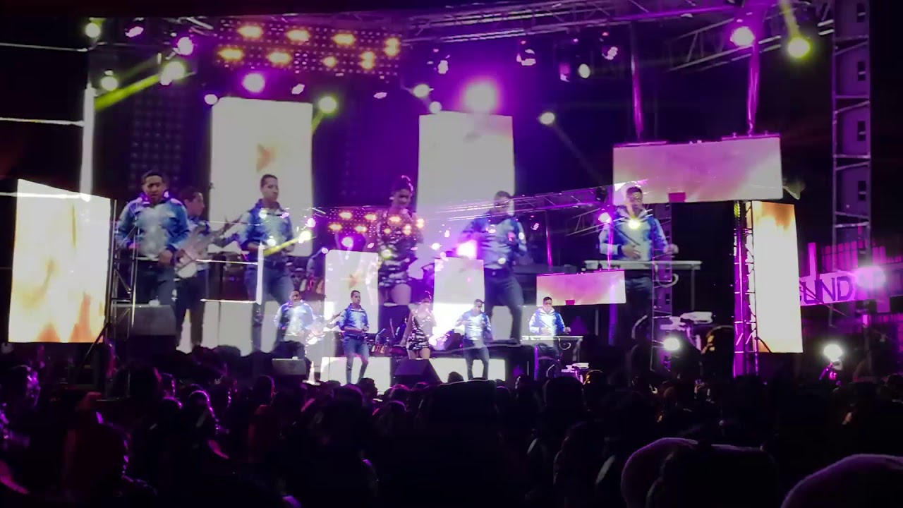 LOS TOKES (en vivo)  Mix Bukis