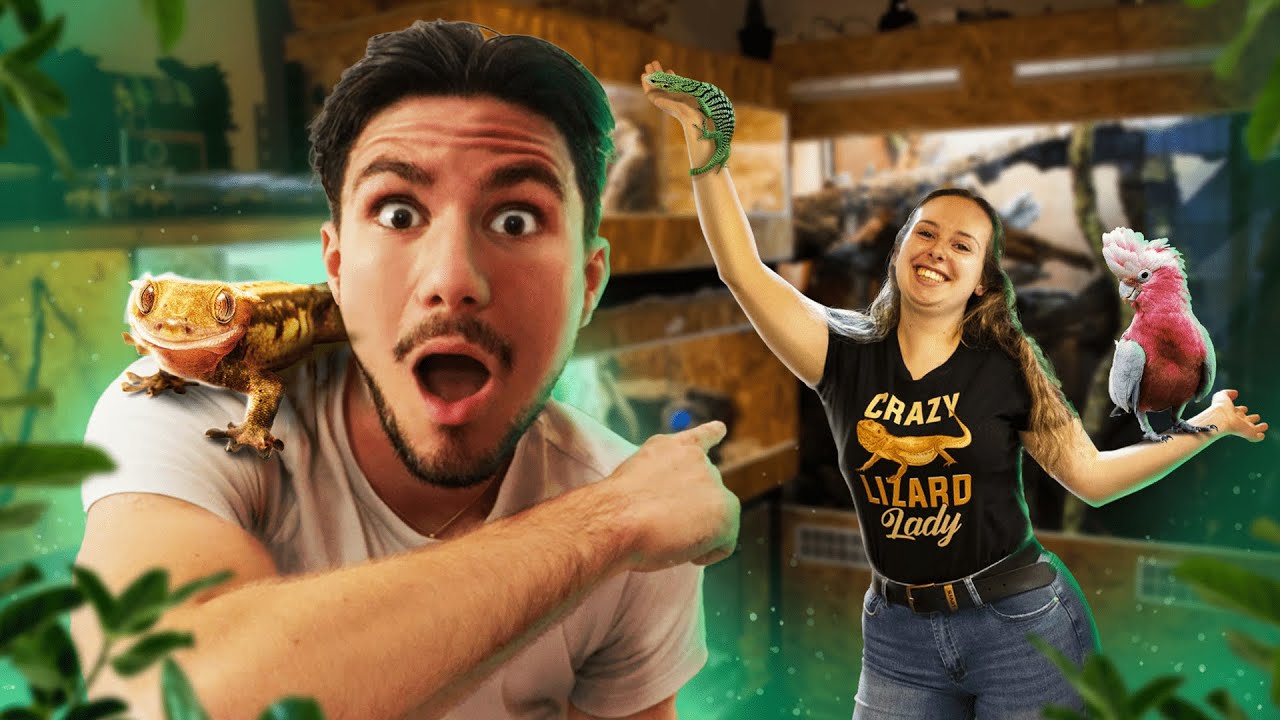 Je visite la Reptile Room de MissReptile66 ! (des animaux de dingue)