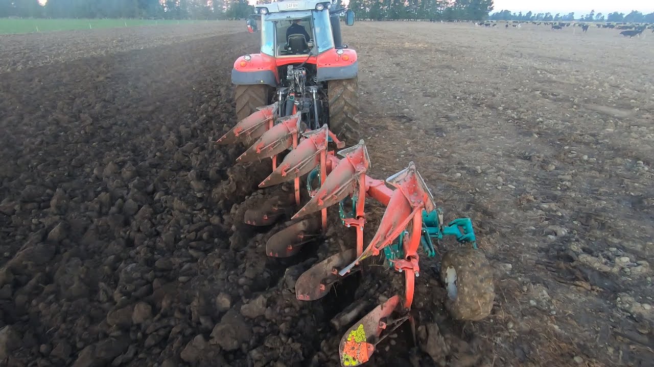 Ploughing NZ | kverneland ES 85 in ex beet paddock