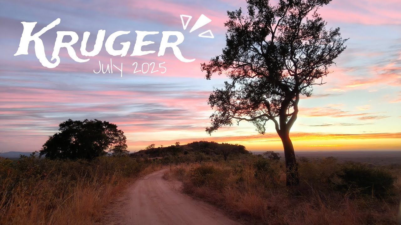 Our 3 day trip to the KRUGER NATIONAL PARK! ☀️