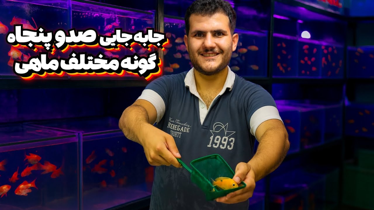 آکواریوم آمانو رو از نو ساختیم 