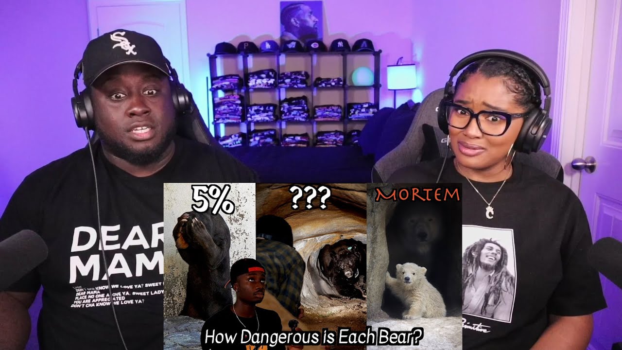 Kidd and Cee Reacts To Every Bear and Its Chances of Retiring You From Life (Casual Geographic)