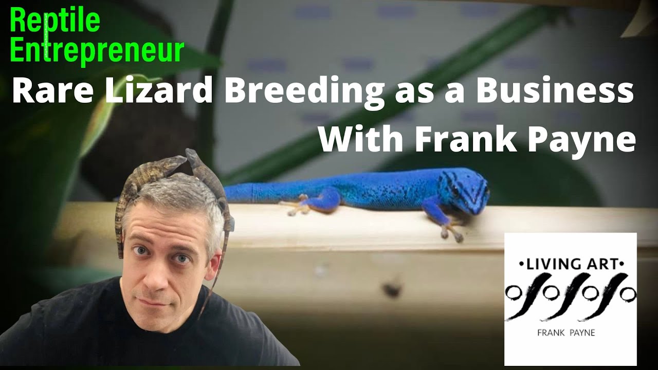 Rare Lizard Breeding as a Business with Frank Payne