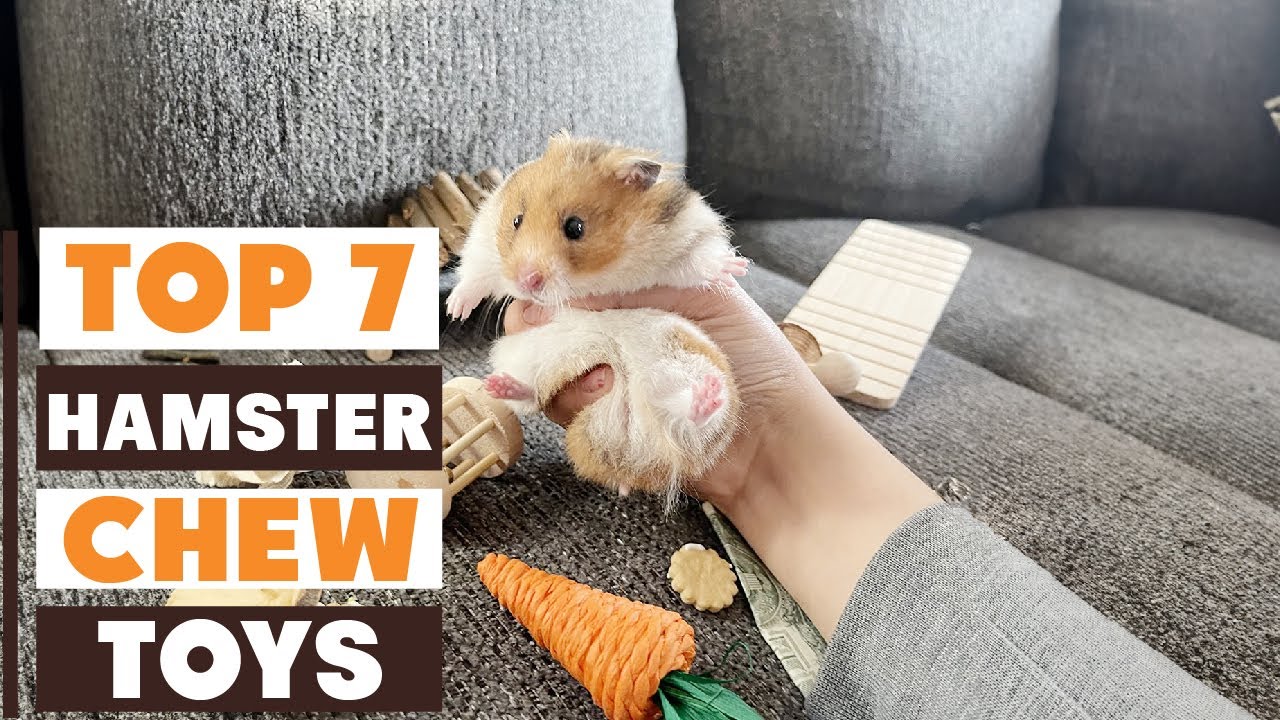 7 Best Hamster Chew Toys for Happy, Healthy Pets in 2025