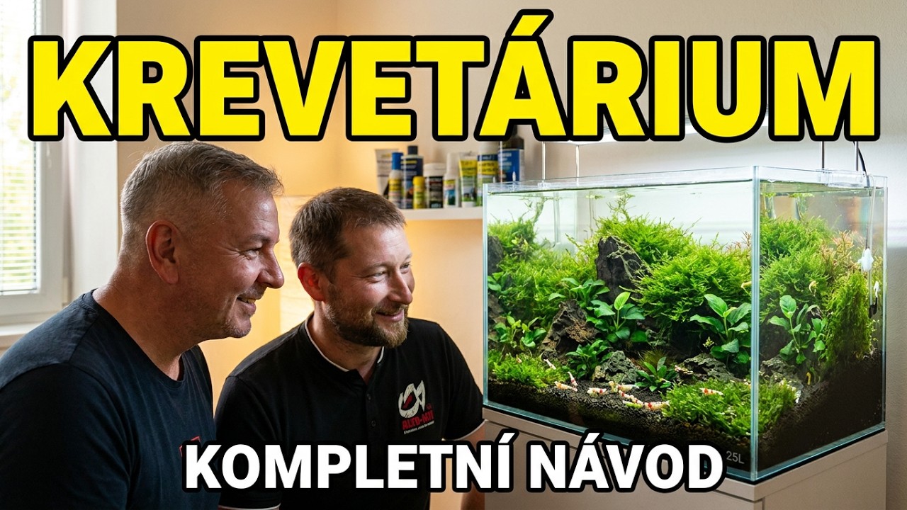 Jak založit KREVETÁRIUM krok za krokem  s chovatelem Robinem Duškem (Caridina)