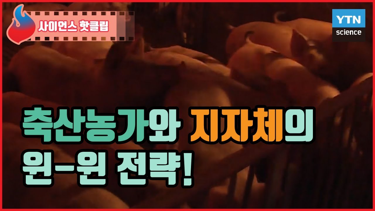 축산 분뇨와 음식물 쓰레기로 전기 에너지를 생산한다?  / YTN 사이언스