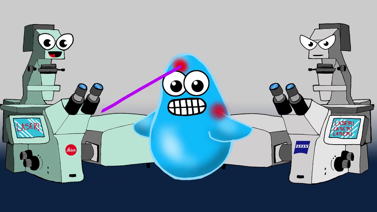 Video 3: Confocal Microscopy