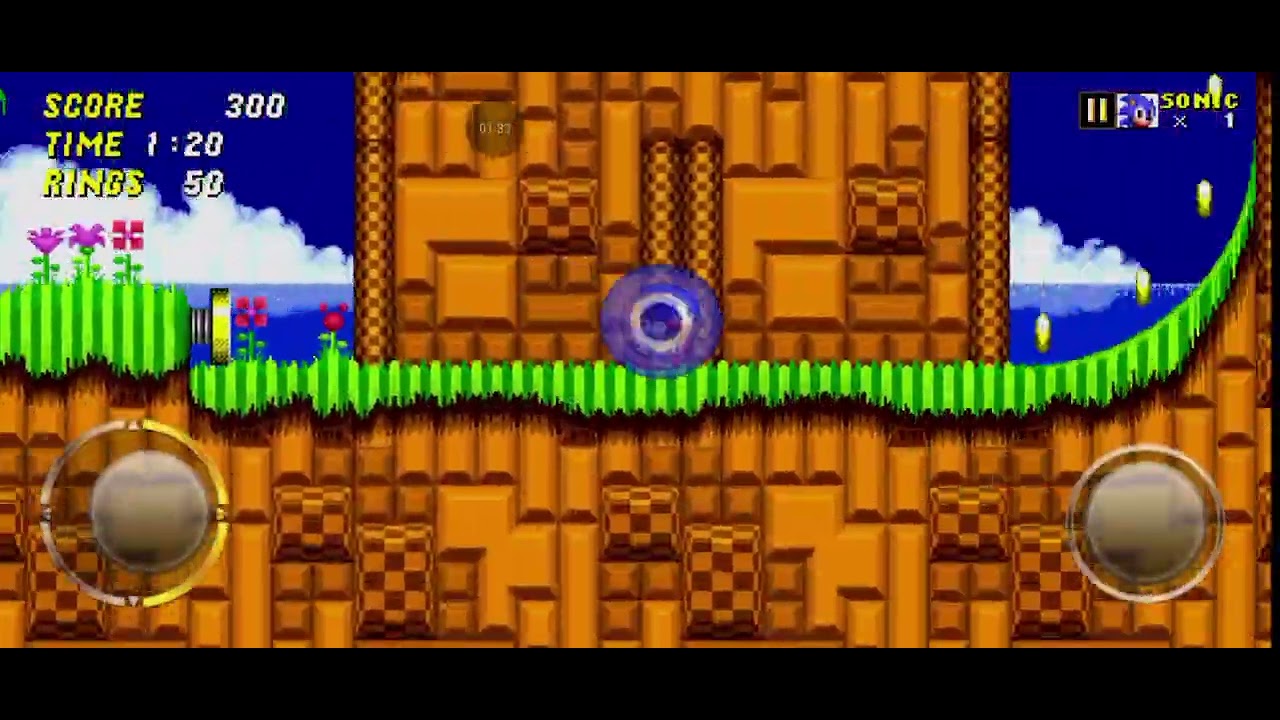 Sonic