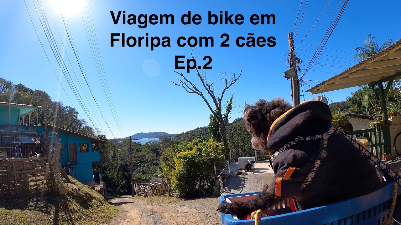 Viajando de bicicleta dobrável em Florianópolis com dois cães_Norte da ilha_Costão do Santinho_Ep.2