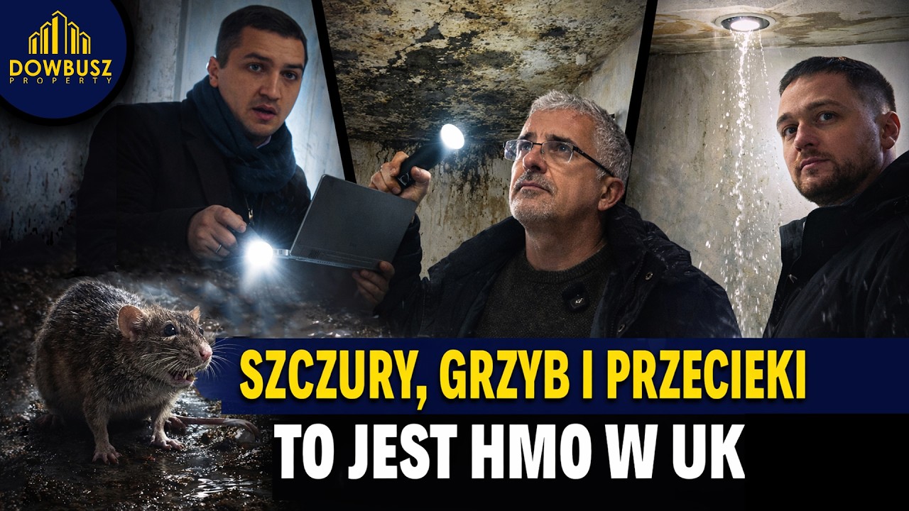 Jak zamienić ruinę w dochodowe HMO?