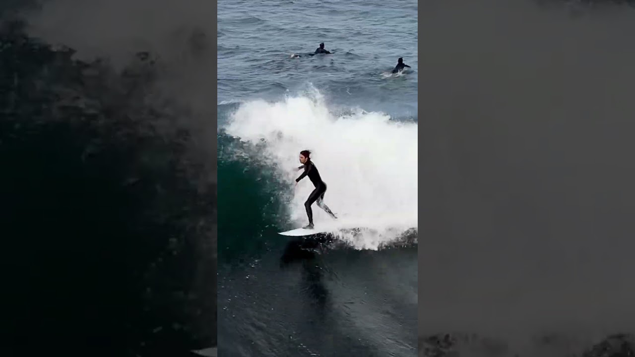 Surfing Shelf Runner  East Coast Australia