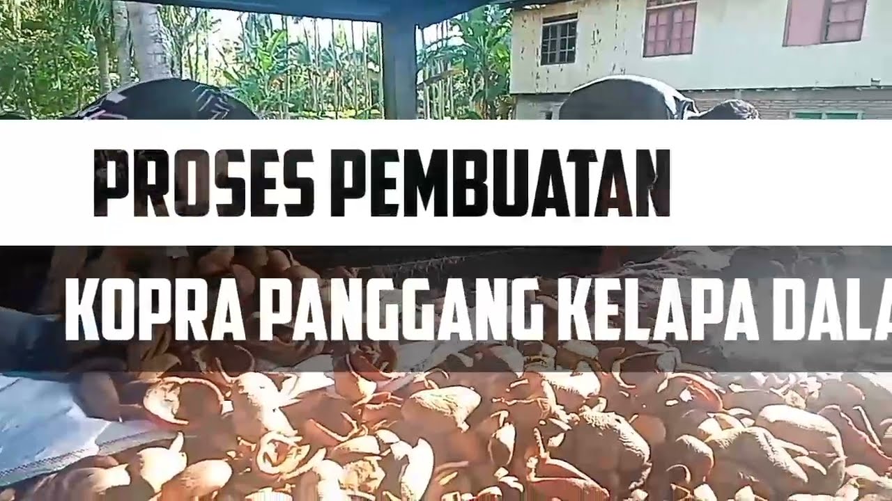 PROSES PEMBUATAN KOPRA PANGGANG KELAPA DALAM