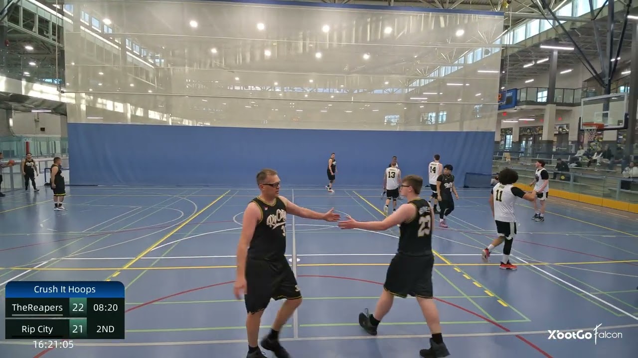 Xbot Falcon Crush It Hoops Baskeball