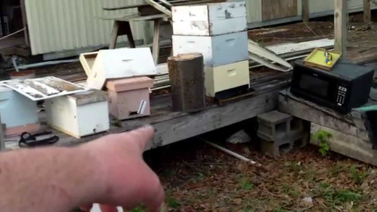 Palmer Creek Hive Removal & Bee Vac Design