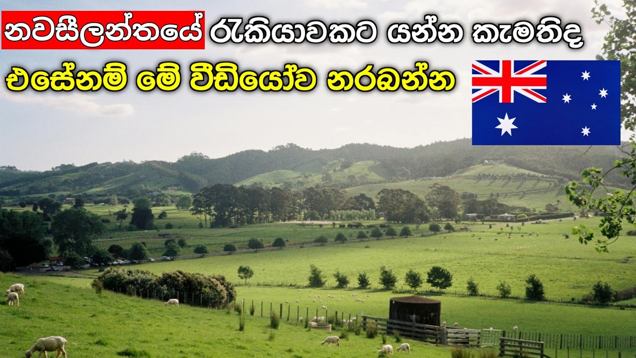 නවසීලන්තයට යන්න කැමතිද | නවසීලන්තයේ රැකියා සදහා යන්නේ මෙහෙමයි 