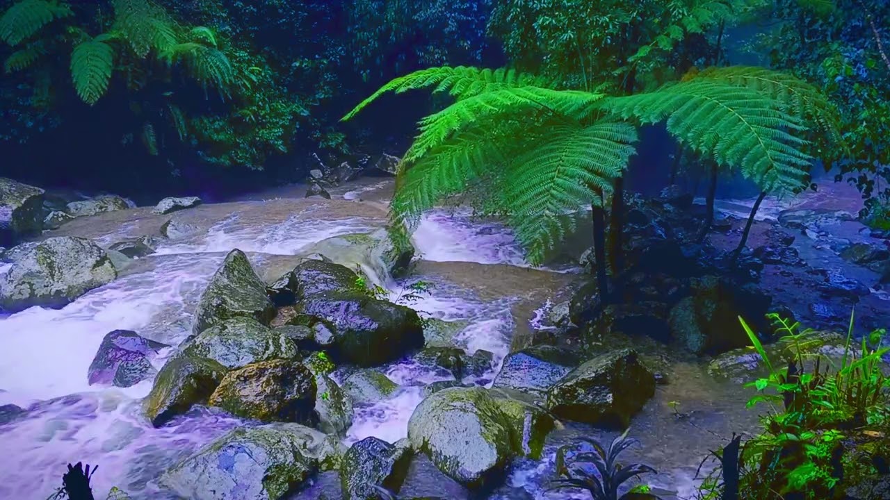 Calm River Flow for Focus and Concentration | River Sounds Therapy