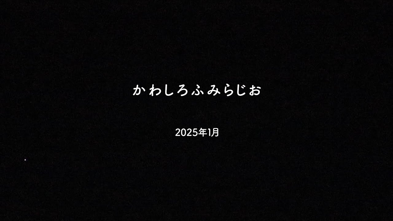 2025年1月