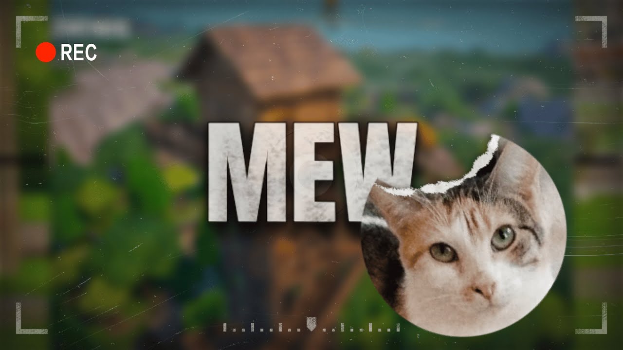 MEW │FORTNITE