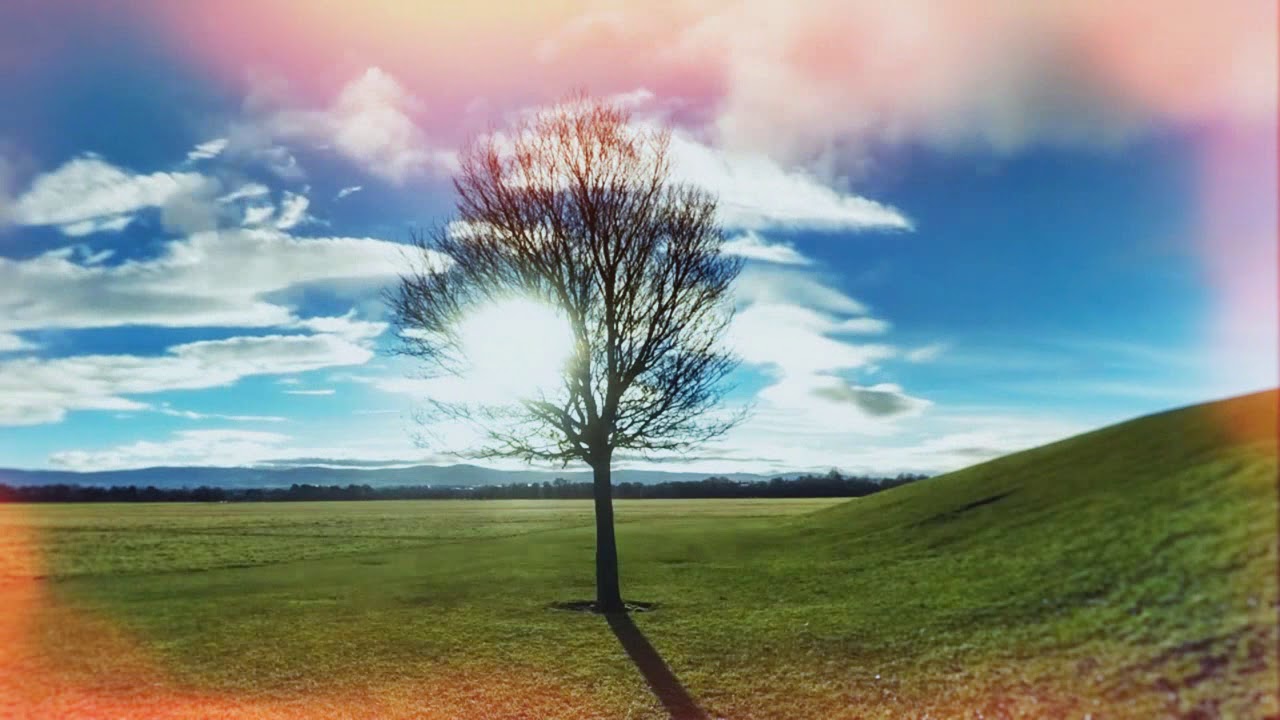 Radicall - No One
