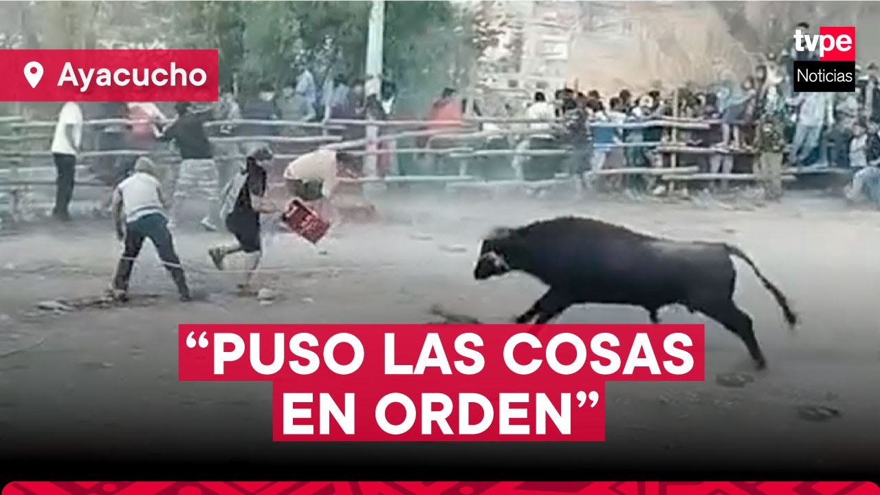 Toro detiene batalla campal en Ayacucho