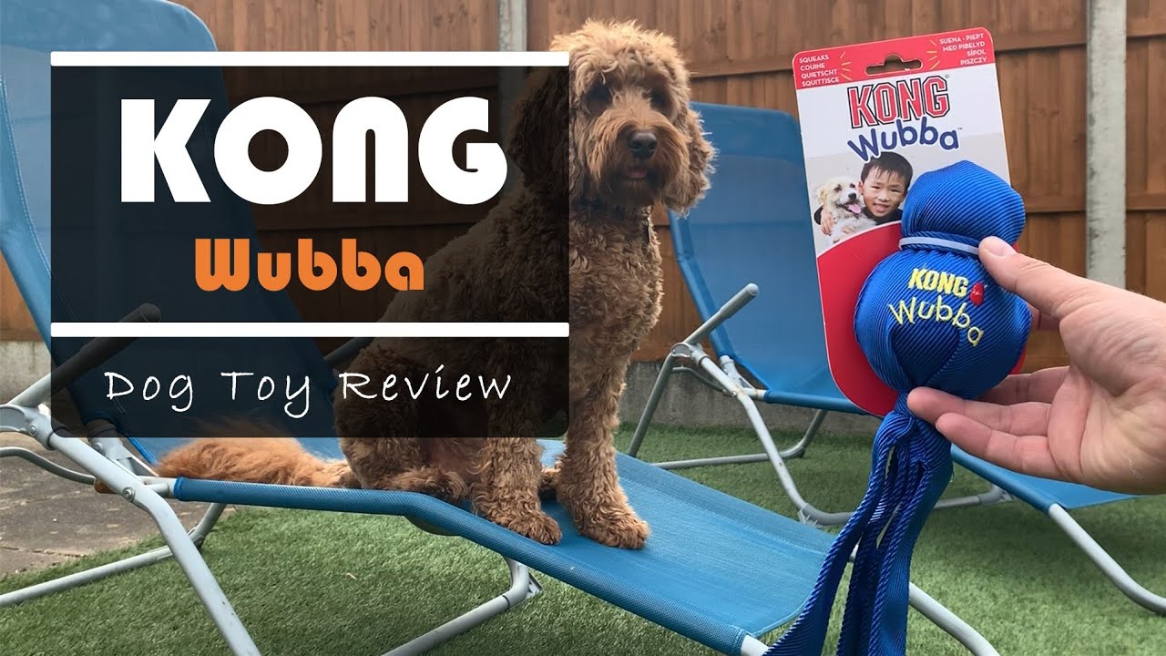 KONG - Wubba (Dog Toy Review)