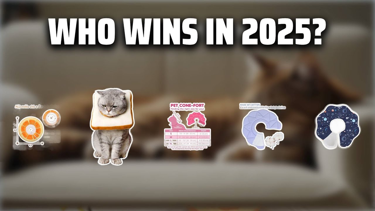 The Top 5 Best Soft Cat Cones in 2025 - Must Watch Before Buying!