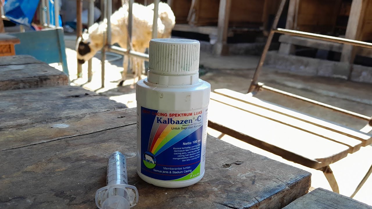 JENIS, DOSIS DAN WAKTU PEMBERIAN OBAT CACING PADA DOMBA