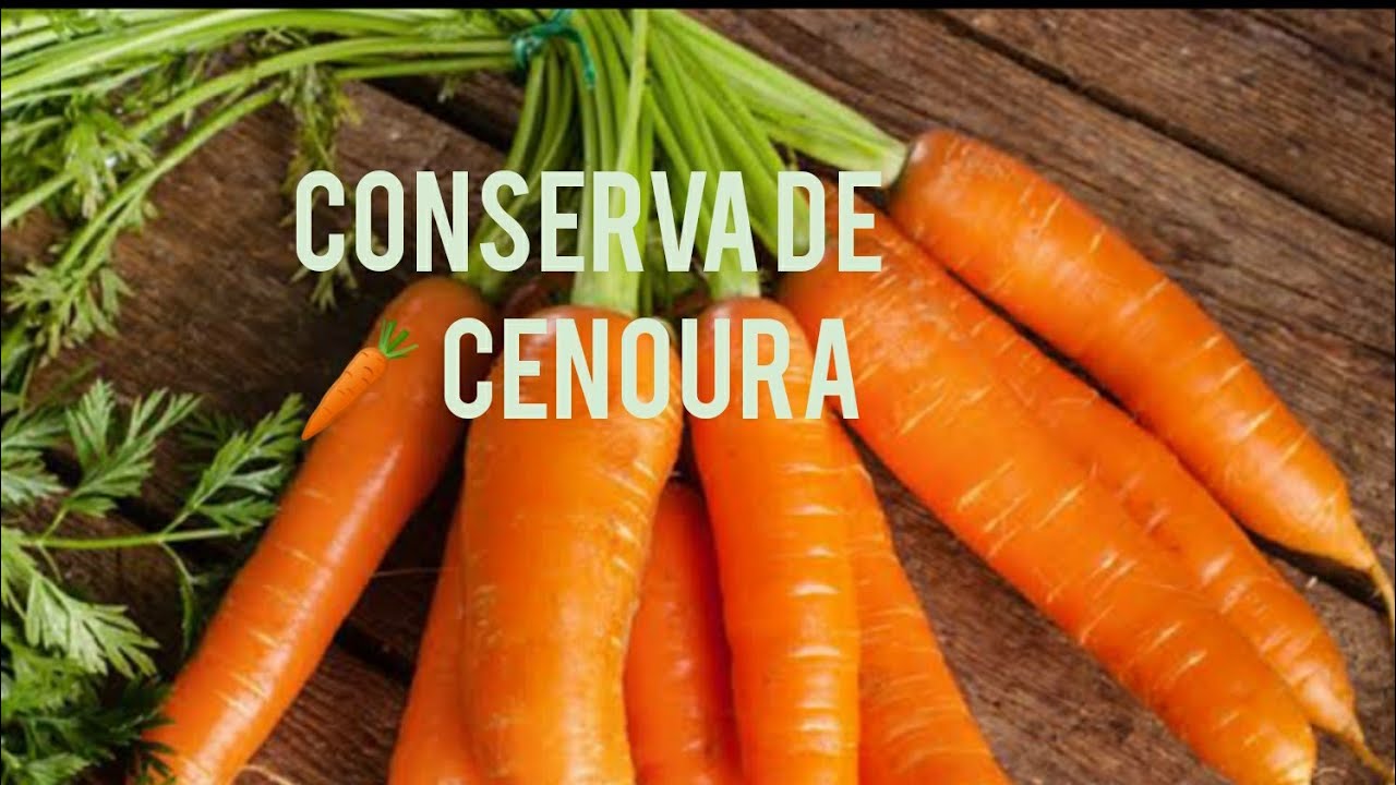 Estocando Cenouras! ⏳Aprendam urgente #sobrevivência