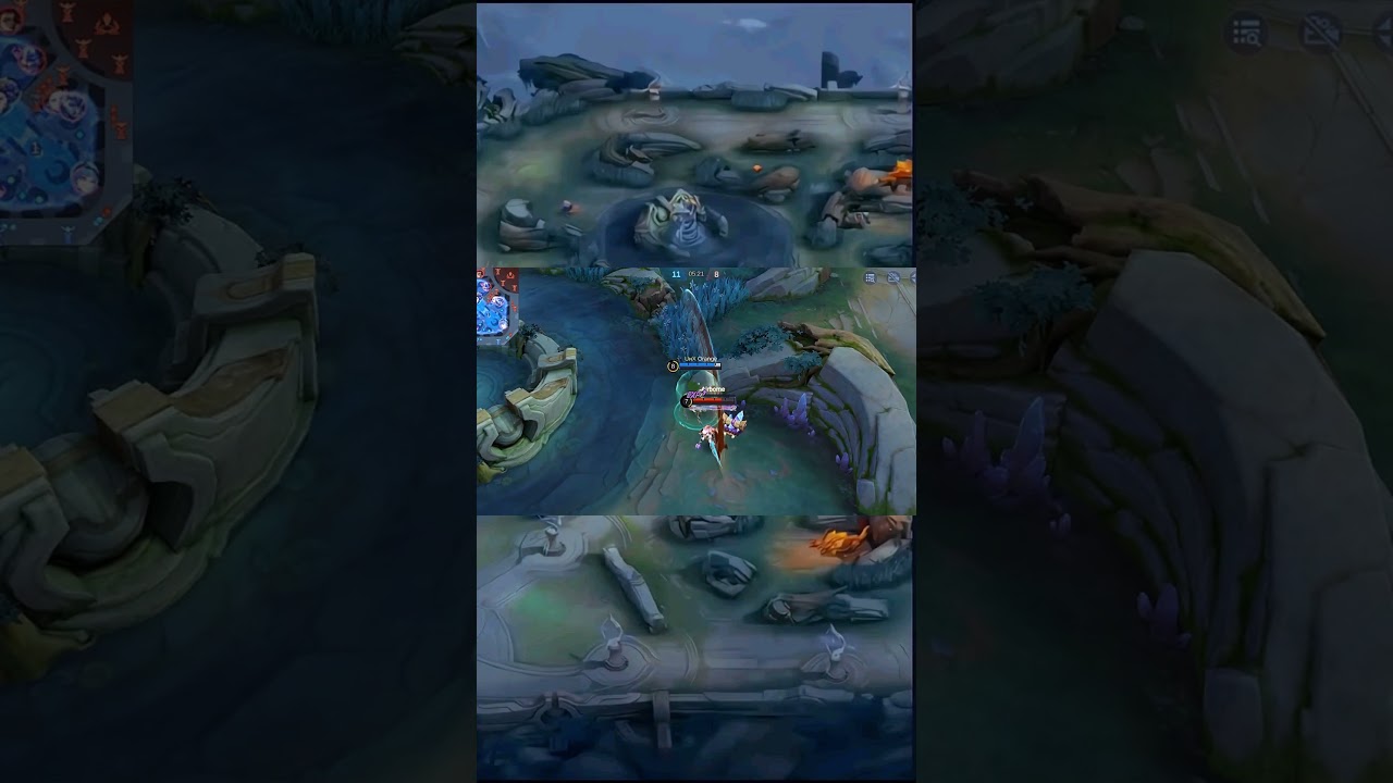 The Oldest exp laner 