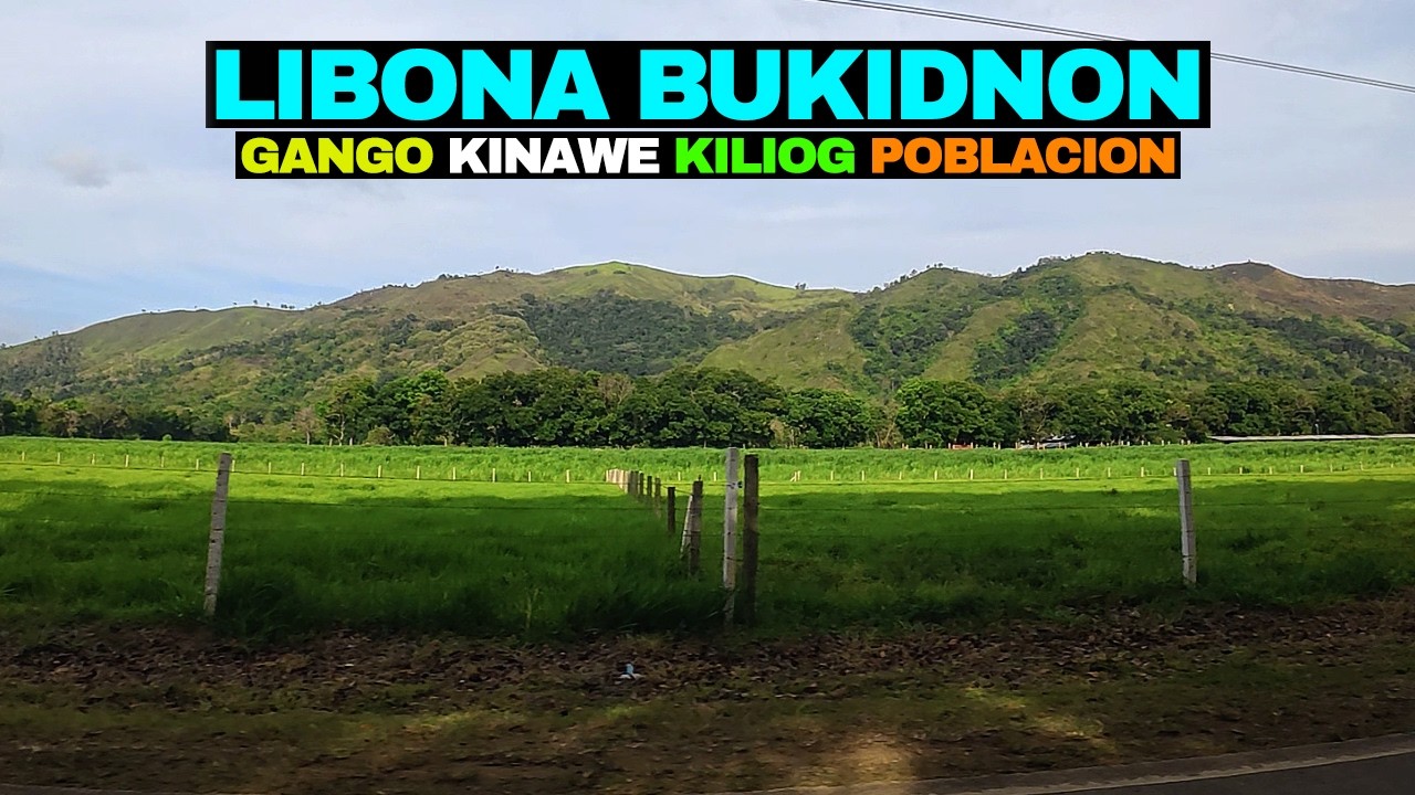 NEWEST CAFE STOPOVER in Poblacion! Beautiful Mountain Drive in Libona, Bukidnon