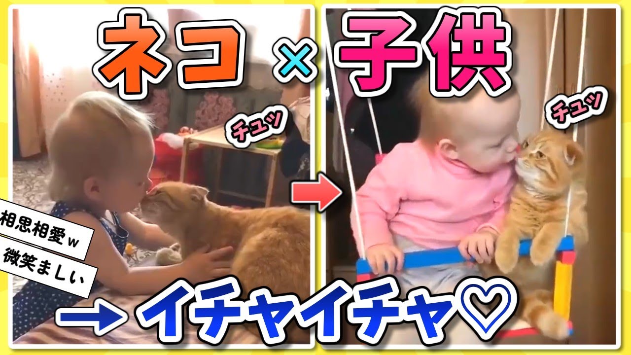 【2ch動物スレ】仲が良すぎるネコと子供がこちらｗｗｗ