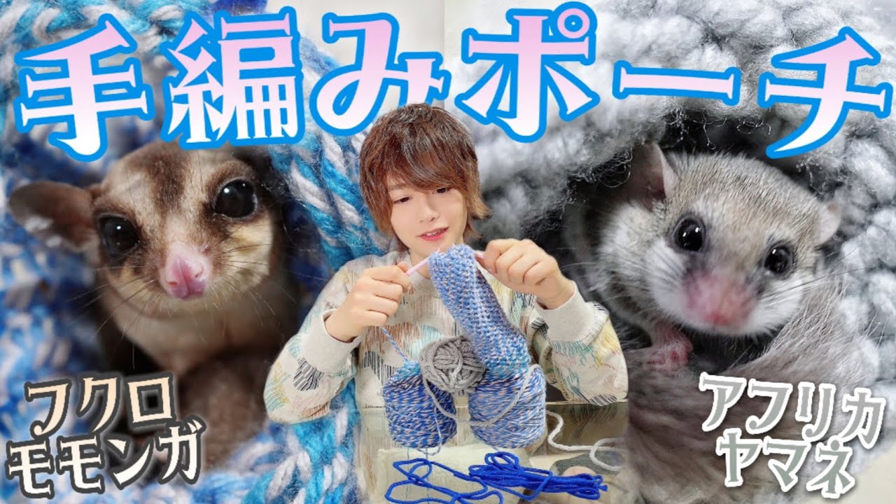 モモンガ親子に手編みのポーチをプレゼントしたら反応が可愛すぎた(//∇//)
