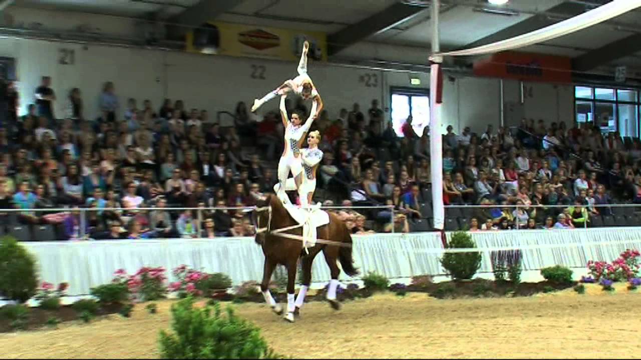 CVIO Verden 2015