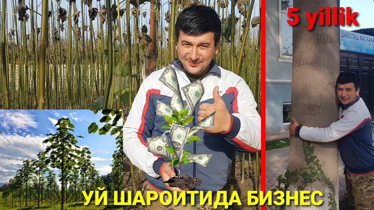 Томорқадан 100МЛН сум ДАРОМАД олишнинг сири нимада ???