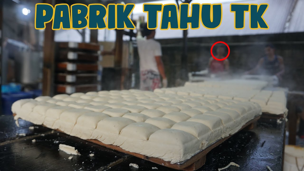 Intip Pembuatan TAHU TK di Jambi Yang Legendaris