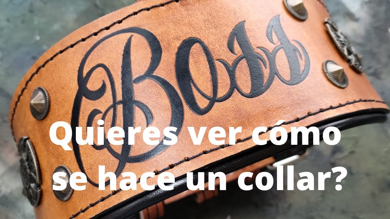 Cómo se hace un collar para perro