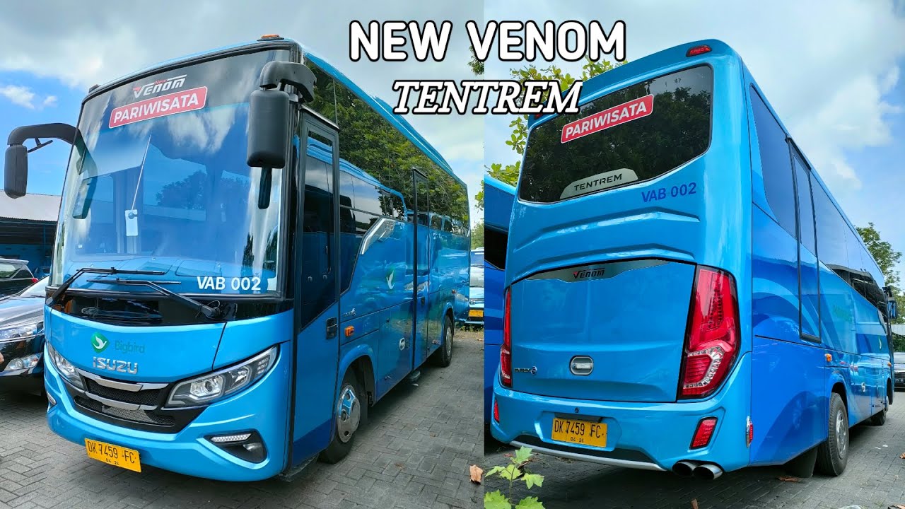 Review Medium Bus Venom by Tentrem || Big Bird Medium Bus Pool Bali