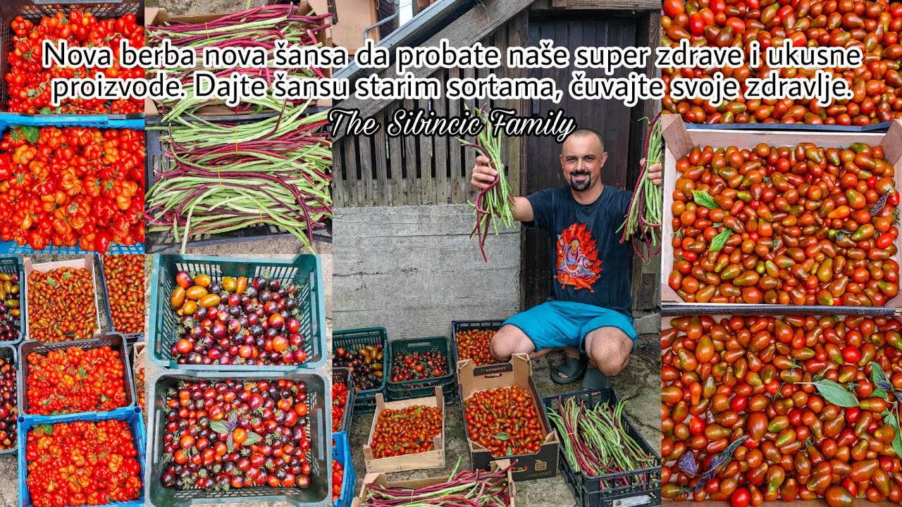 NOVA BERBA NOVA ŠANSA DA PROBATE NAŠE SUPER ZDRAVE I UKUSNE PROIZVODE | THE SIBINČIĆ FAMILY