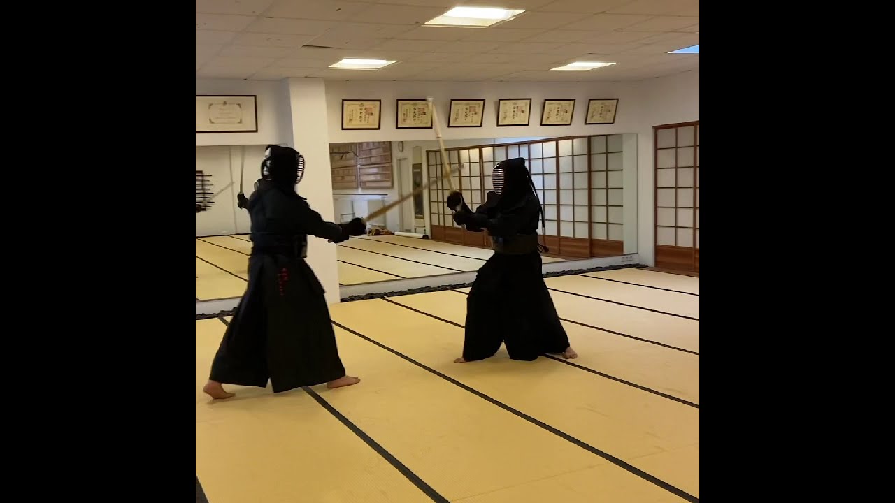 Mugai Ryu Gekken / Kenjutsu / Kendo like sparring training 無外流 撃剣