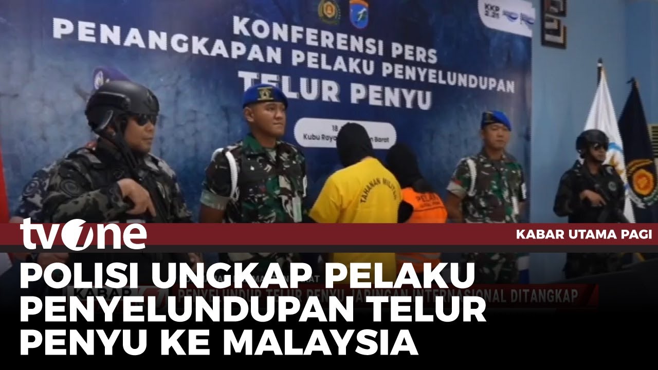 Dua Pelaku Penyelundup Telur Penyu Ditangkap, Salah Satunya Anggota TNI | Kabar Utama Pagi tvOne