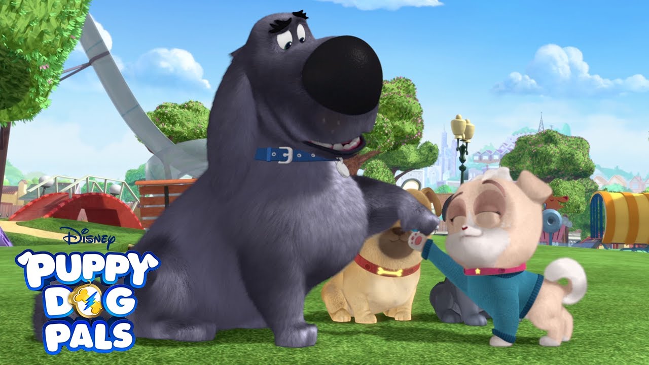 Making Friends! 🐶 | Puppy Playcare | Puppy Dog Pals | Disney Junior