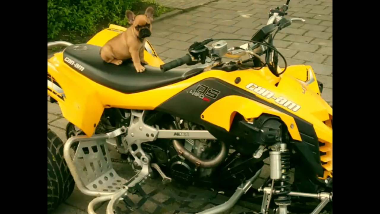 Offroad rijden in Deest 11 juli 2016