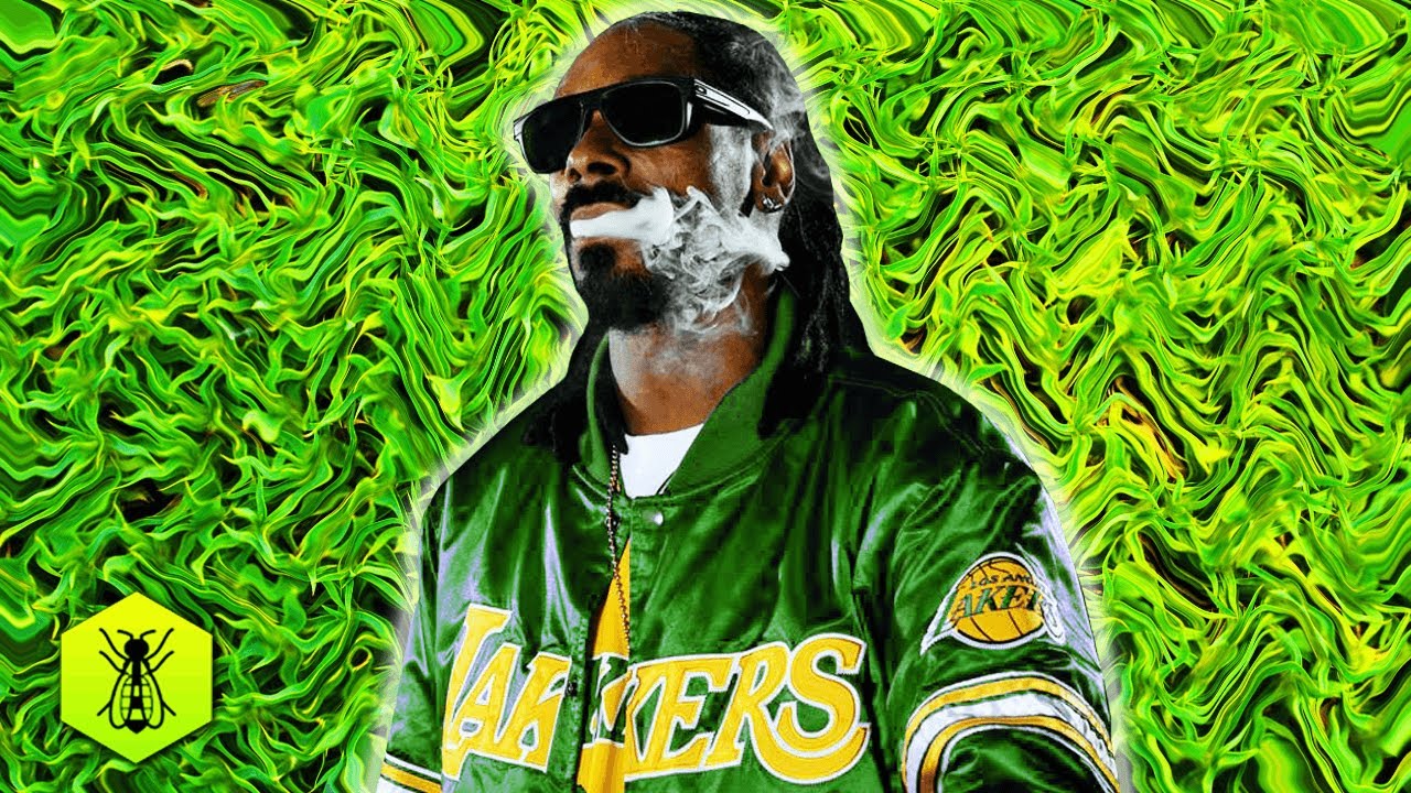 If I Produced Modern G-FUNK for Snoop Dogg