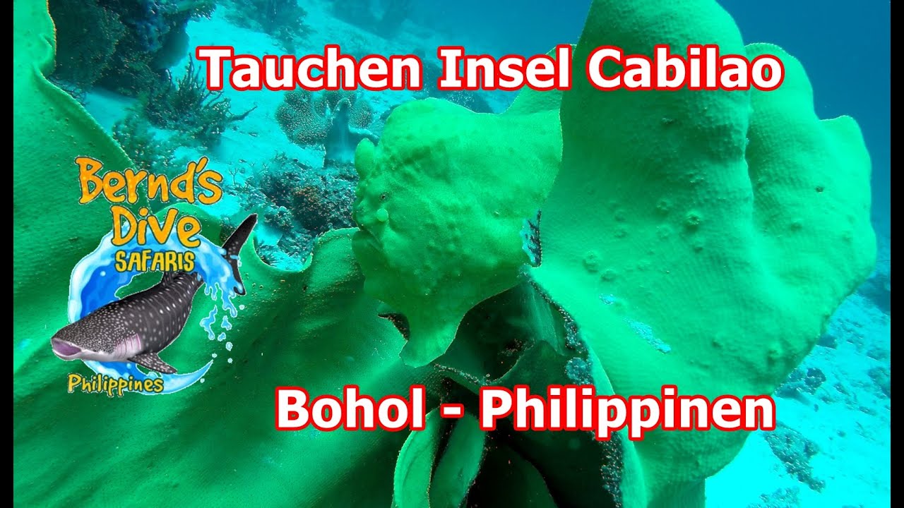 Tauchen Cabilao Island - Tauchen Insel Cabilao Bohol Philippinen