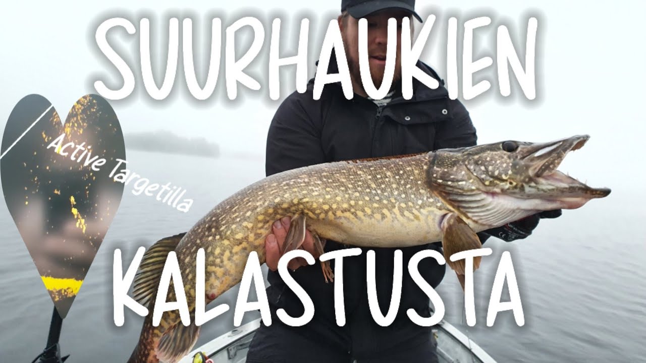 TÄSMÄKALASTUSTA IDÄSSÄ - Isojen haukien pyyntiä Lowrance Active Targetilla